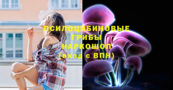 дурь Алзамай