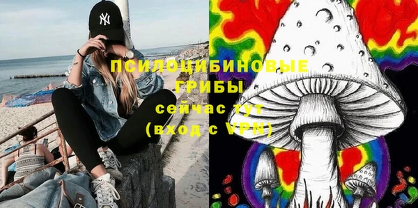дурь Алзамай