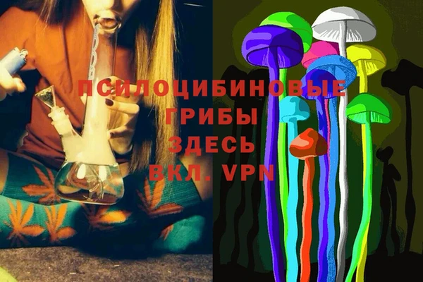 дурь Алзамай