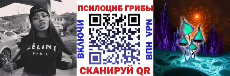 это клад  Старая Купавна  Галлюциногенные грибы Magic Shrooms 